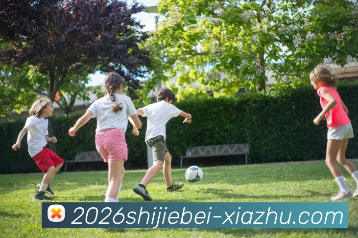 2026世界杯下注平台生态图