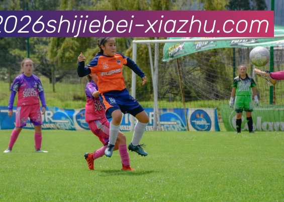 2026世界杯下注全站App